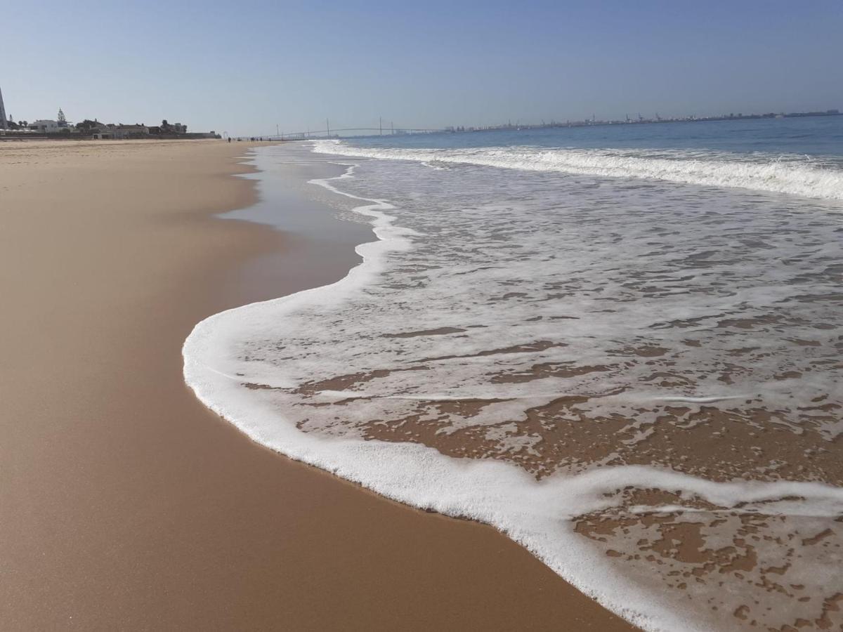 Vistahermosa Palm إل بويرتو دي سانتا ماريا المظهر الخارجي الصورة